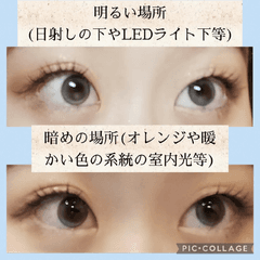 レビュー写真