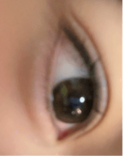 レビュー写真
