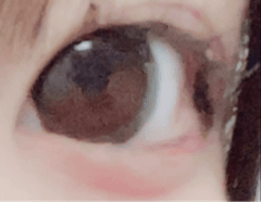レビュー写真