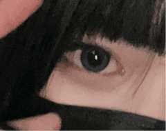 レビュー写真