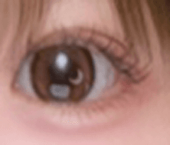 レビュー写真