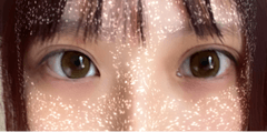 レビュー写真