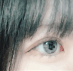 レビュー写真