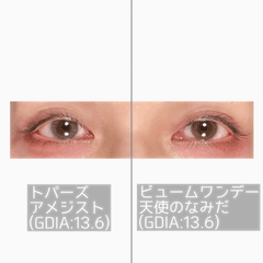 レビュー写真