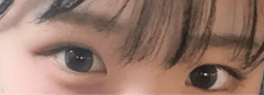 レビュー写真