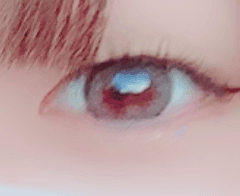 レビュー写真