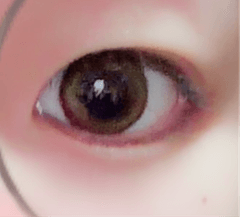 レビュー写真