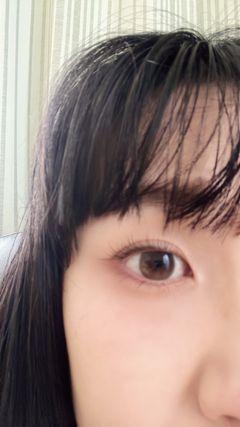 レビュー写真