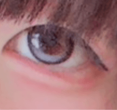 レビュー写真