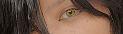 レビュー写真