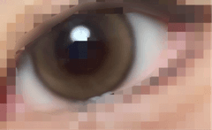 レビュー写真