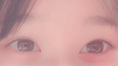 レビュー写真
