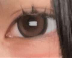 レビュー写真