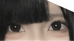 レビュー写真