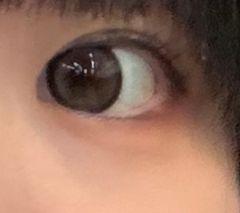 レビュー写真
