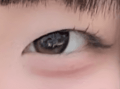 レビュー写真
