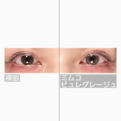 レビュー写真