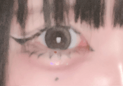 レビュー写真