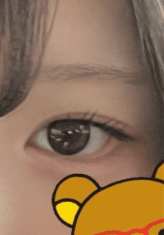 レビュー写真