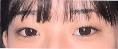 レビュー写真