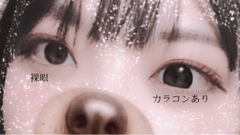 レビュー写真