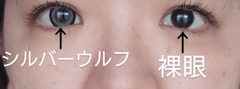 レビュー写真