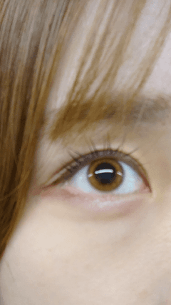レビュー写真