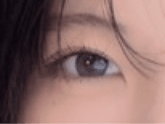 レビュー写真