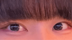 レビュー写真