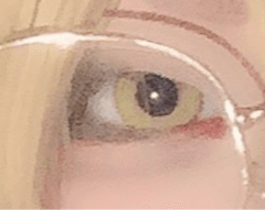レビュー写真