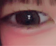 レビュー写真