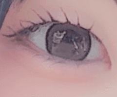 レビュー写真