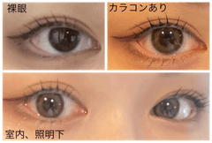 レビュー写真