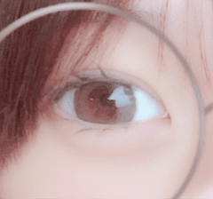 レビュー写真
