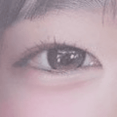 レビュー写真