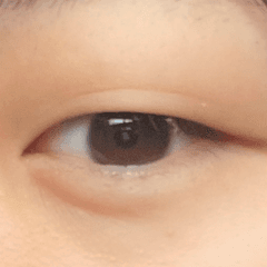 レビュー写真