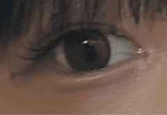レビュー写真