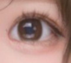 レビュー写真