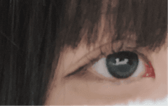 レビュー写真