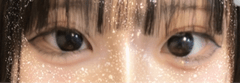 レビュー写真