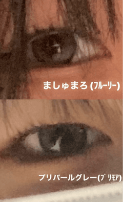 レビュー写真