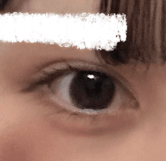 レビュー写真