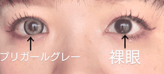 レビュー写真