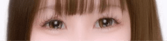 レビュー写真