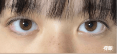レビュー写真