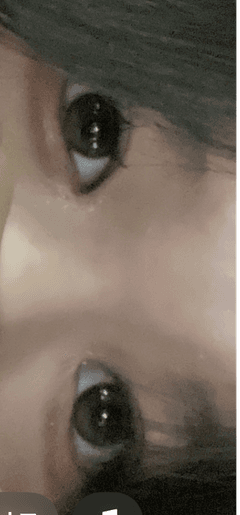レビュー写真