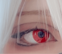 レビュー写真