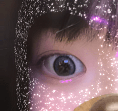 レビュー写真
