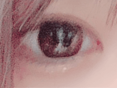 レビュー写真