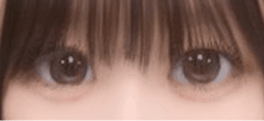 レビュー写真